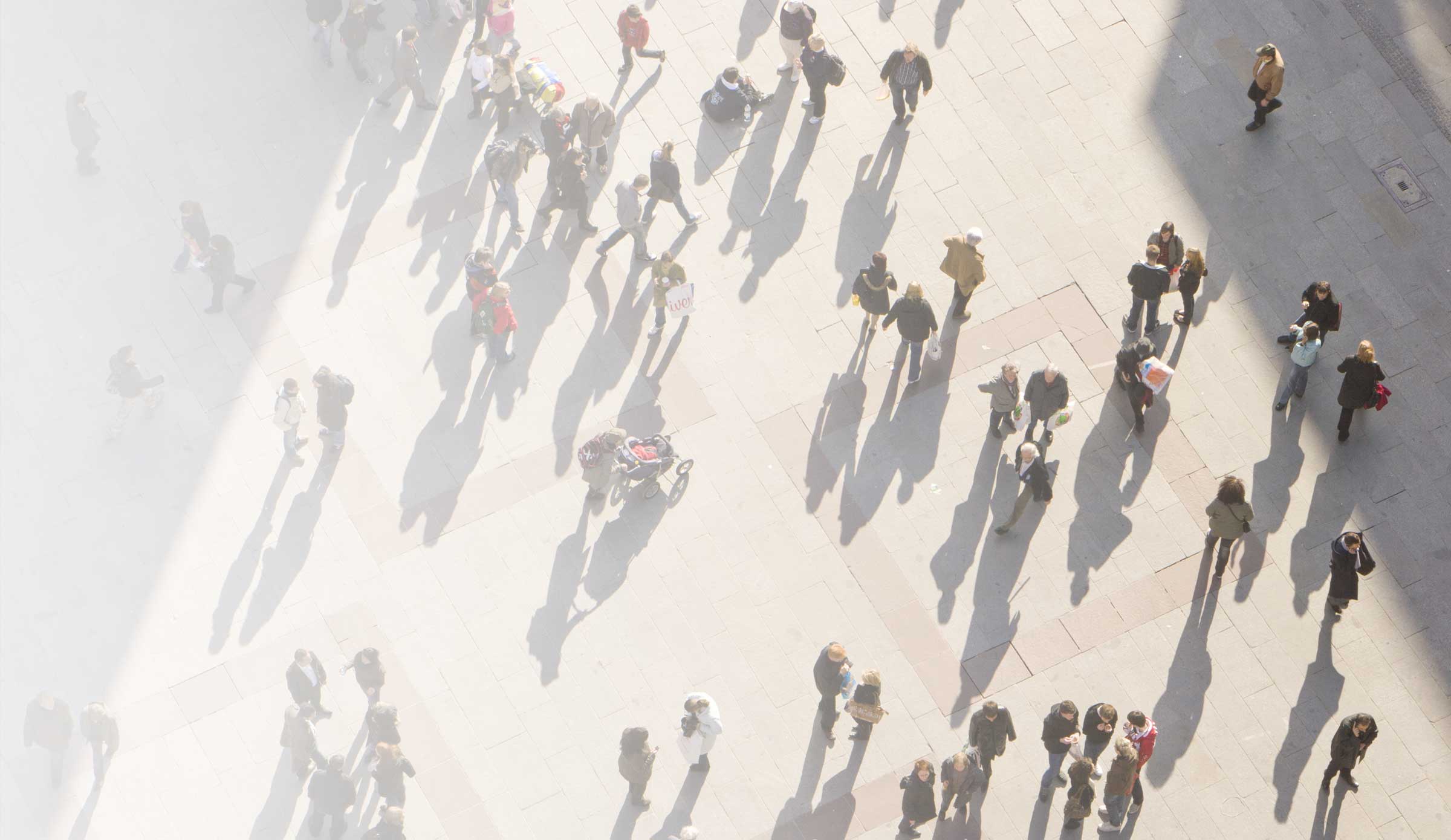 Legal Team Background